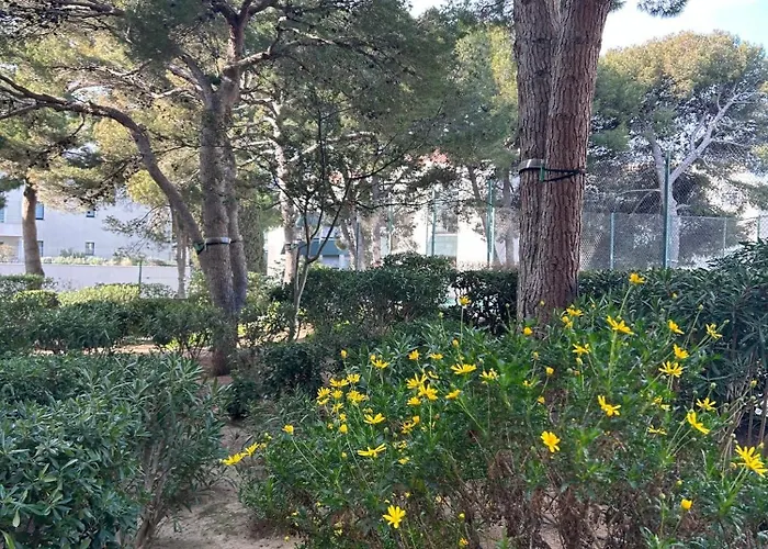 Et Pinede A 50m De La *