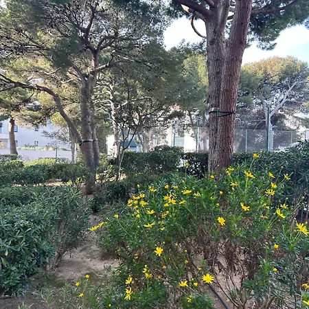 Et Pinède à 50m De La *